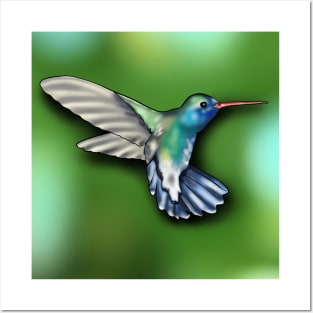 Hummingbird Full Posters and Art